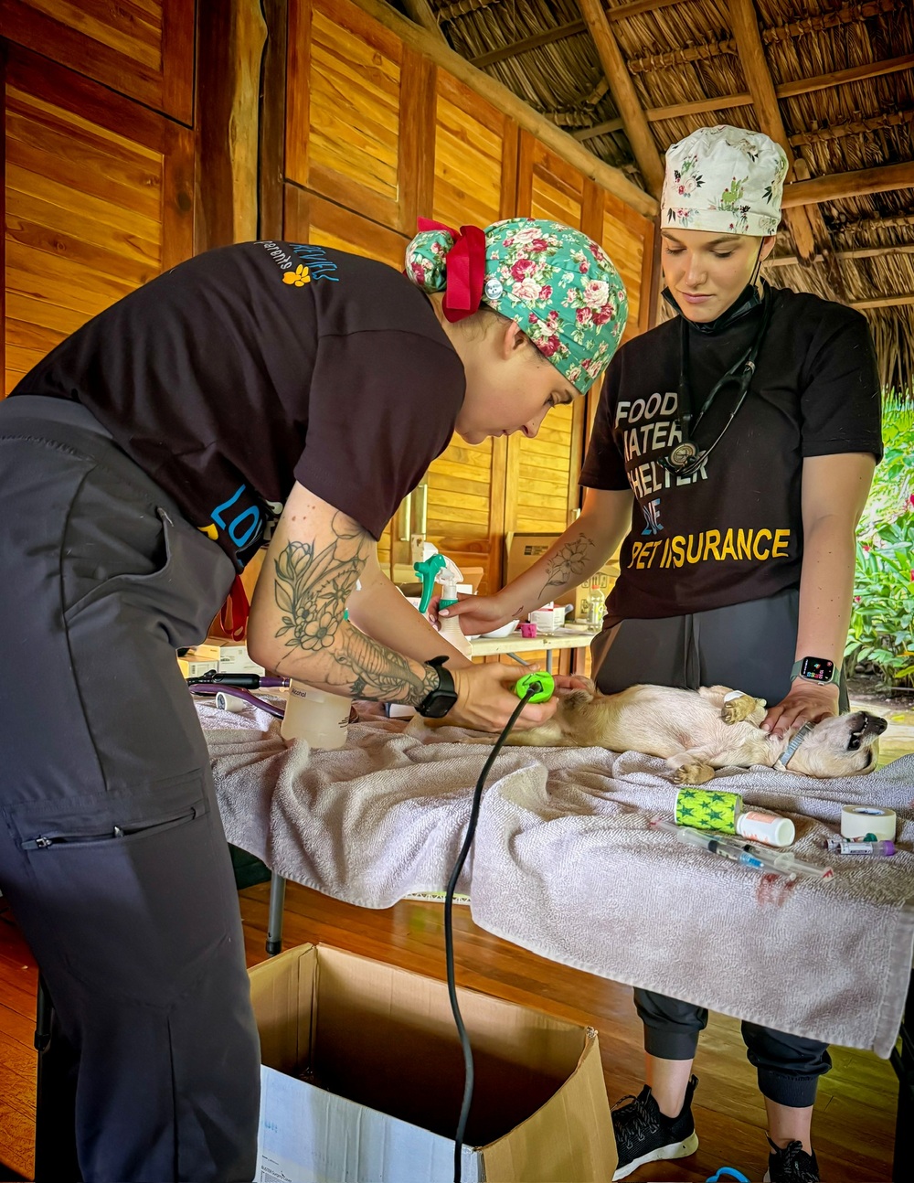 Two PRCP veterinary team members preparing a dog for surgery at the open-air clinic