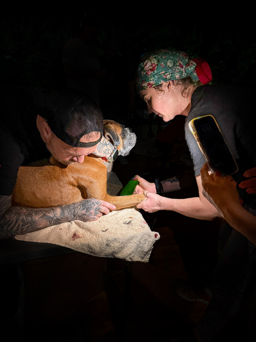 A PRCP volunteer consoles a boxer dog at night while a team member provides phone flashlight for continued care