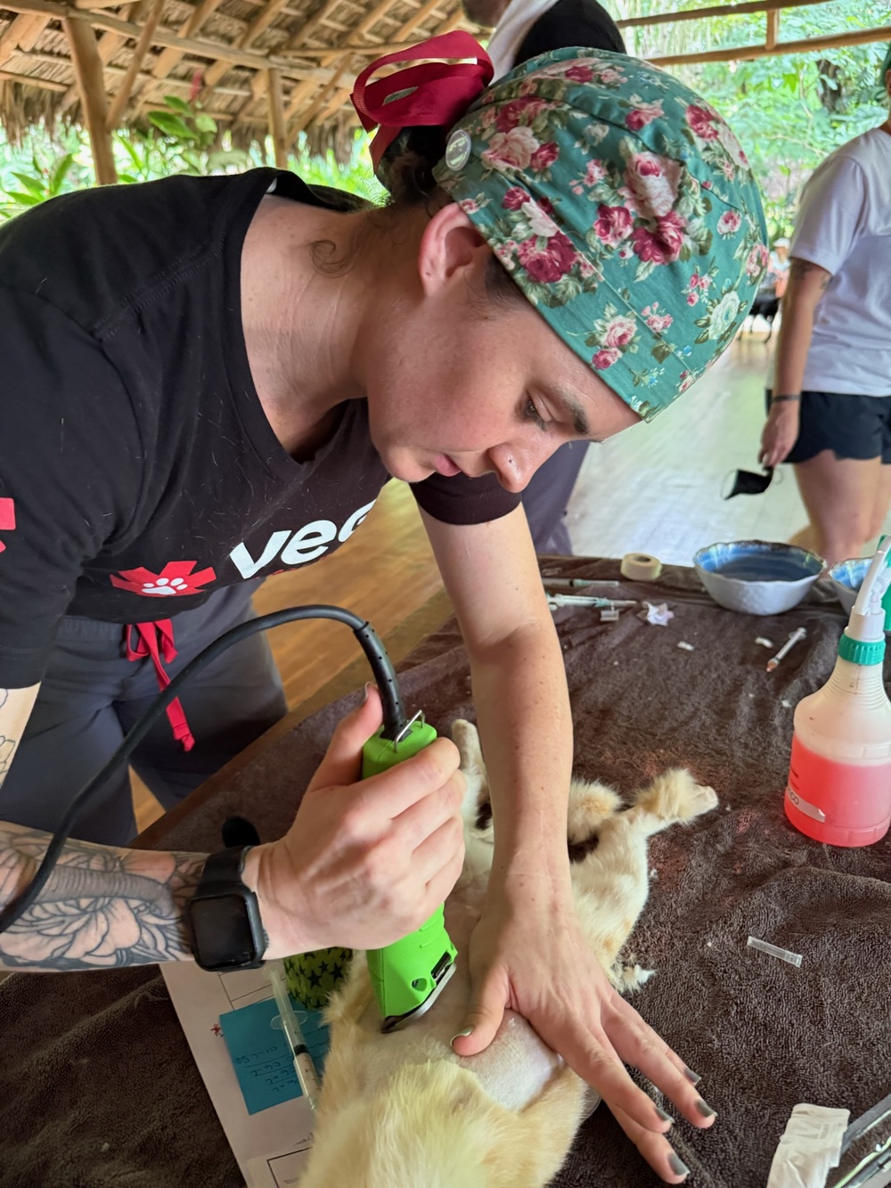 A PRCP veterinary team member shaves a dog's surgical site with electric clippers at the open-air clinic