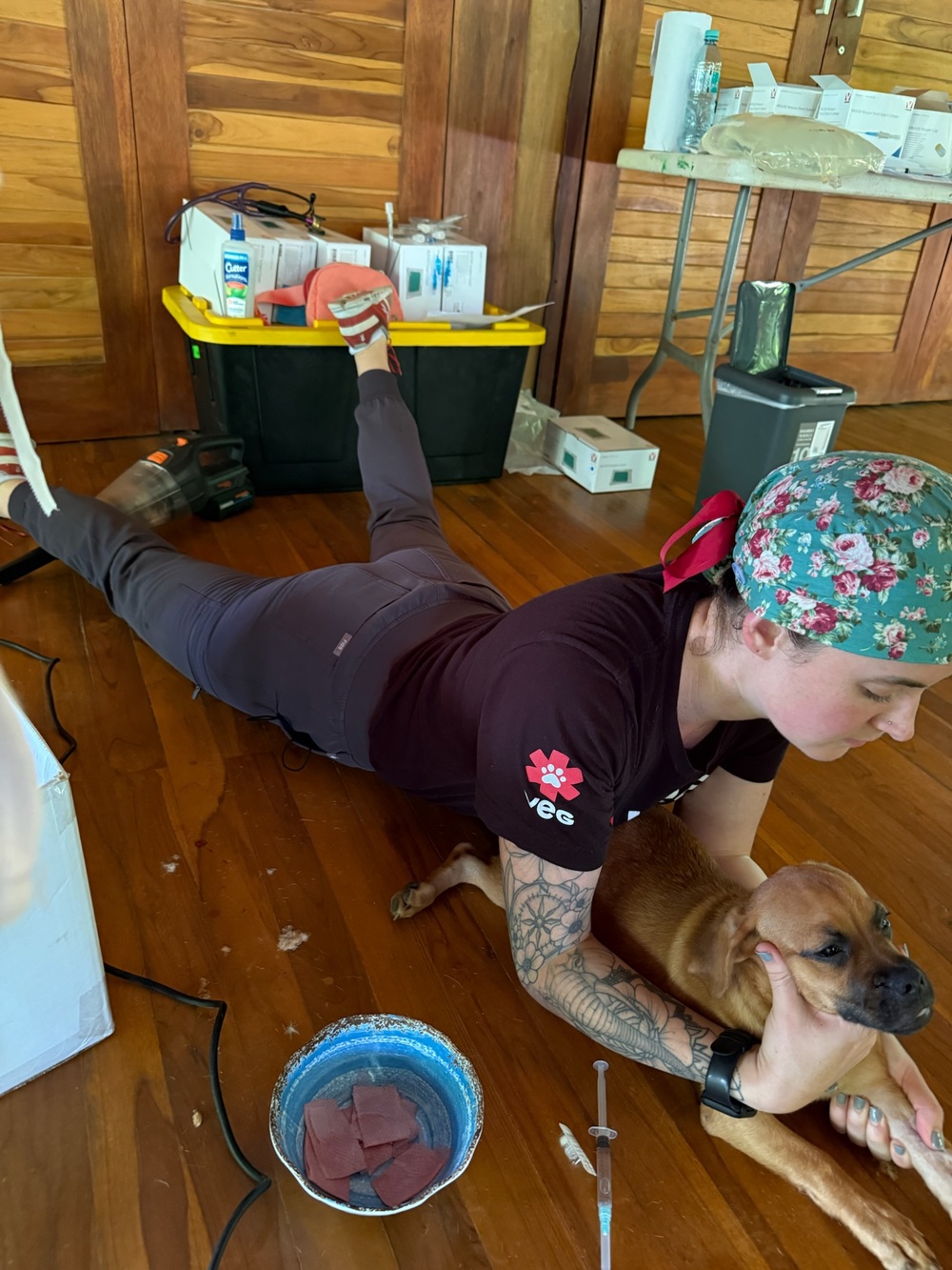A PRCP volunteer lies flat on the clinic floor to gently restrain and comfort a dog during treatment