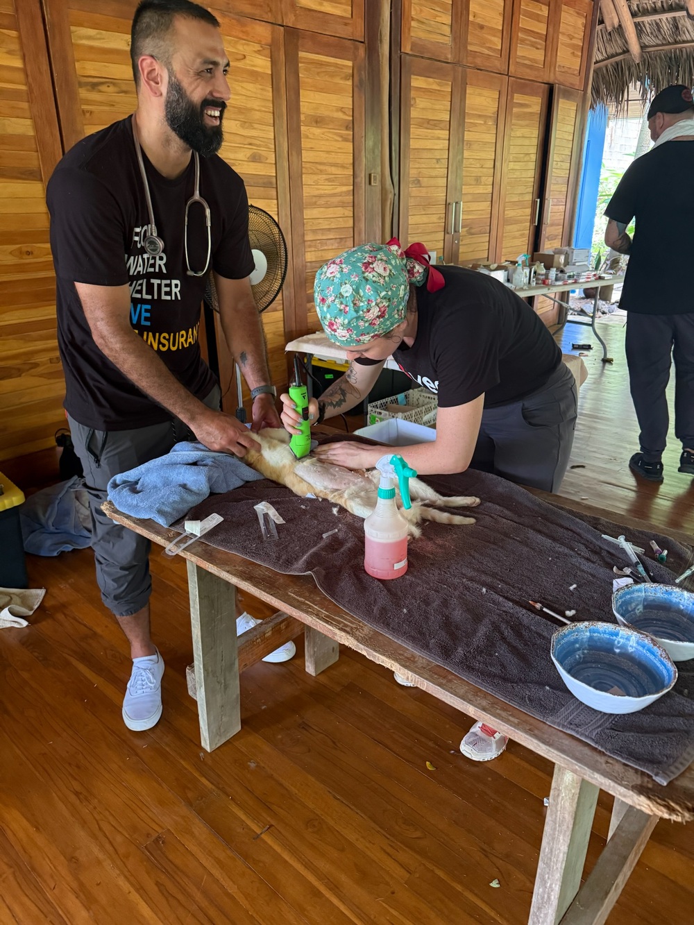Two PRCP team members work together — one steadying a dog while the other prepares the surgical site