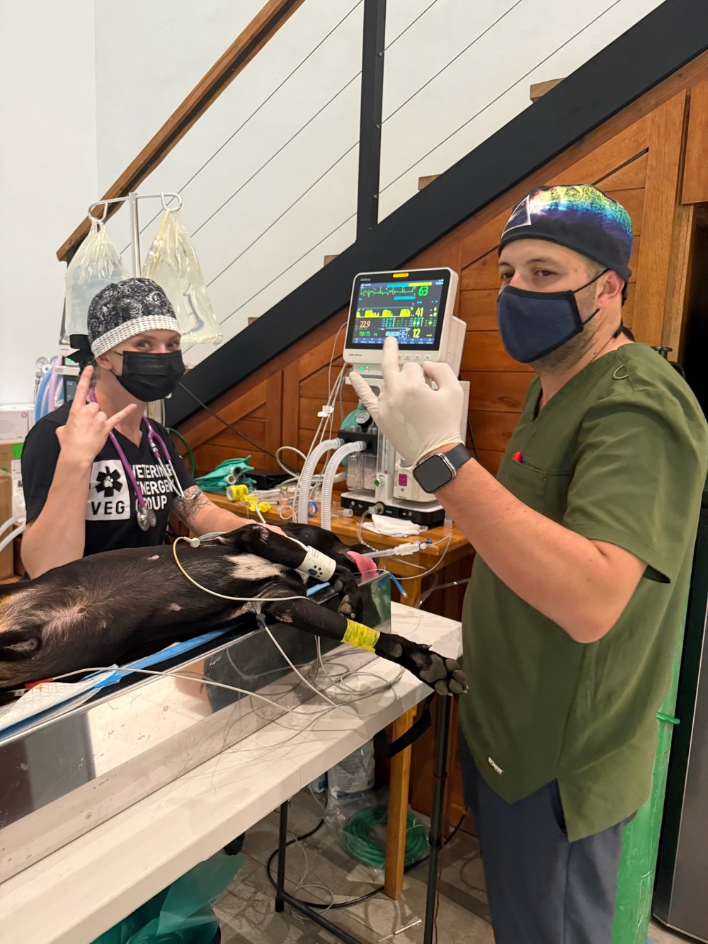Two masked veterinarians monitoring a dog on the operating table with a vital signs machine