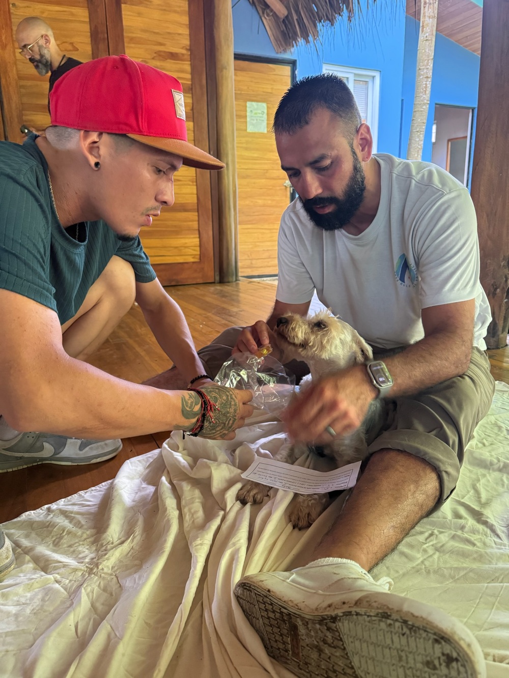 Two team members carefully tend to a small terrier recovering on a blanket on the clinic floor