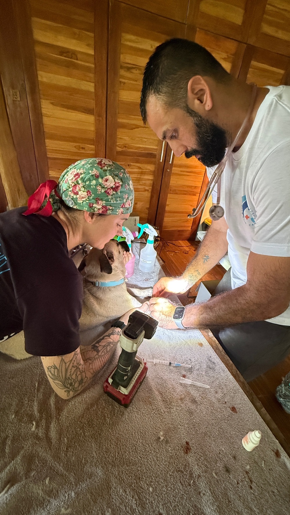 A veterinary team member administers an injection to a pug while a colleague lights the area with a flashlight