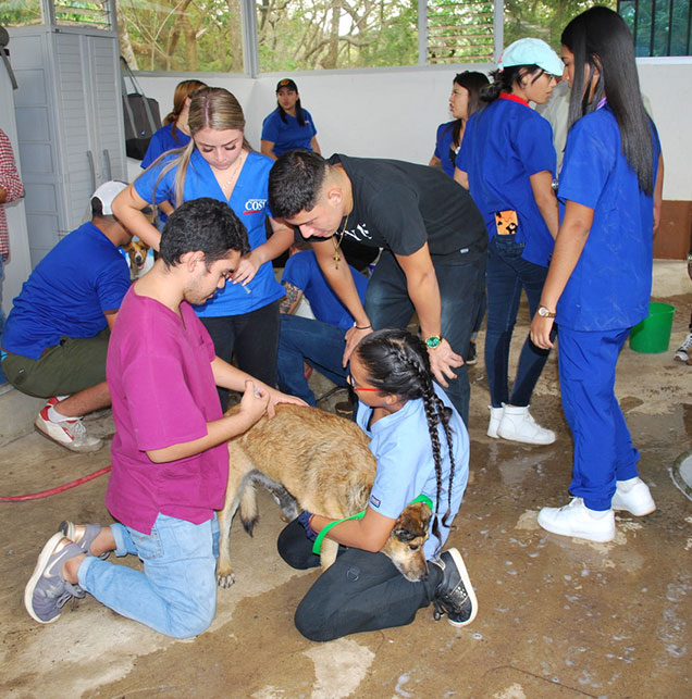 Guayabo team members providing hands-on clinic care